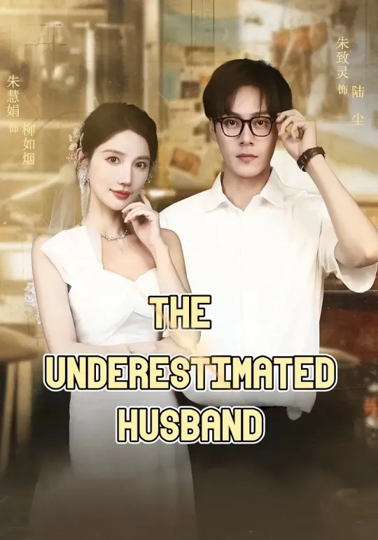 The Underestimated Husband